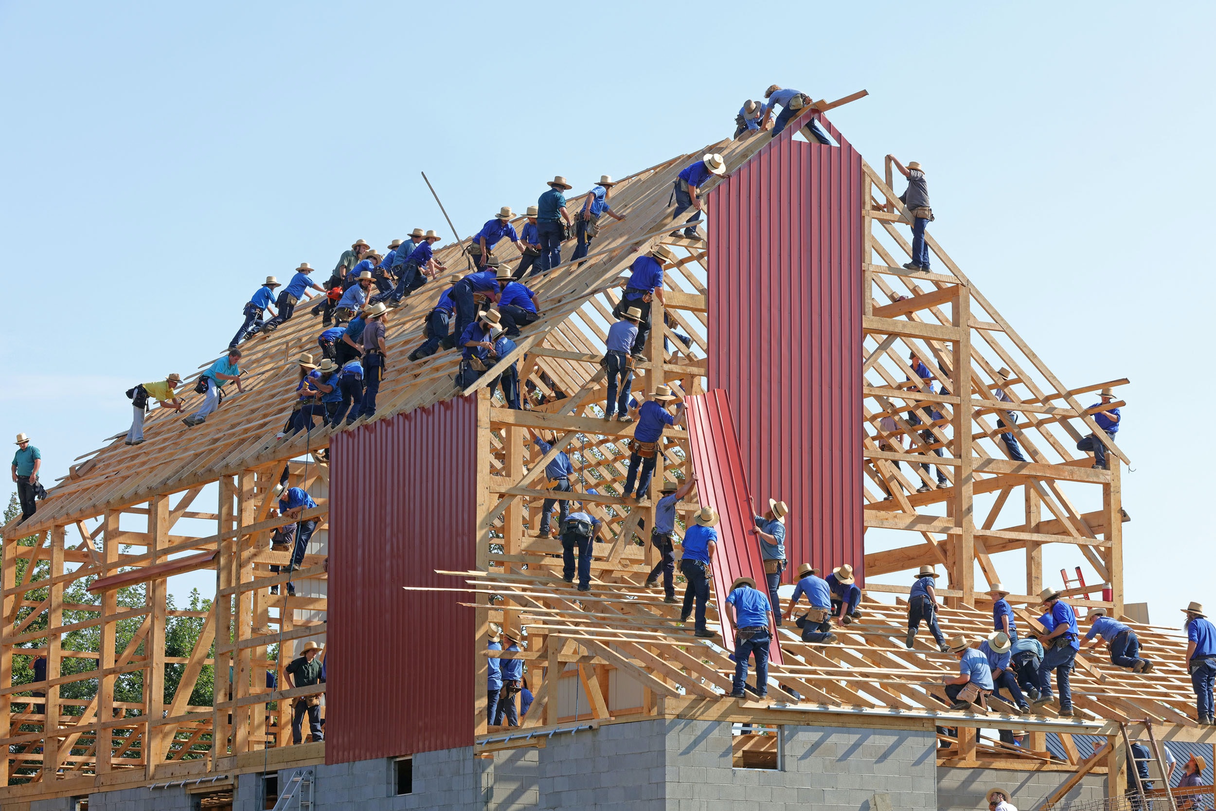 It takes a team to help build a company