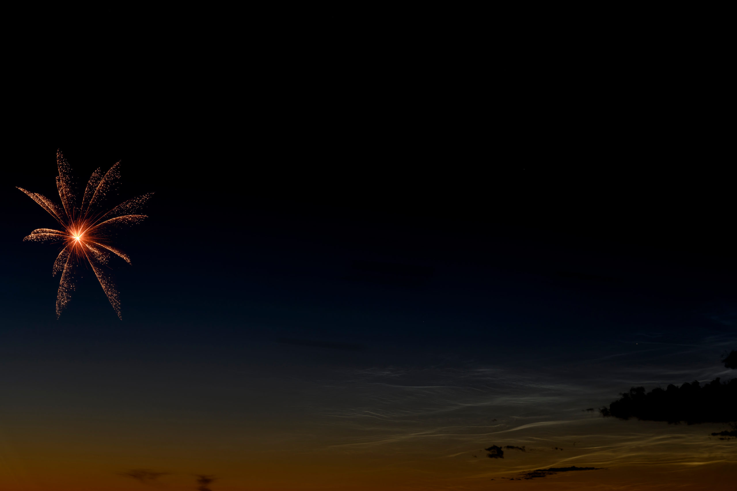 Secret Source Firework