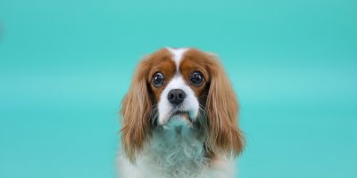 Sales & Marketing Acronyms | TLA